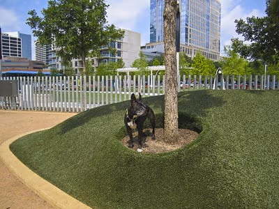 My Best Friend's Park at Klyde Warren Park